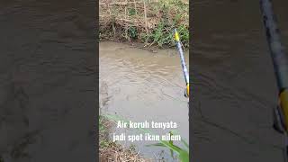 Download lagu ga nyangka air keruh tapi ikan nilem tetap mau makan #spotikannilem #mancingliar #vidioshort #fyp mp3