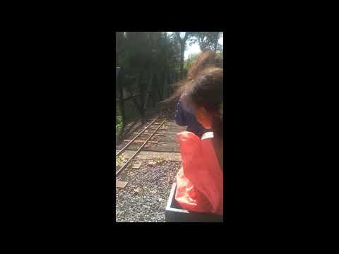 Zondag 1 september 2019, Hoedekenskerke