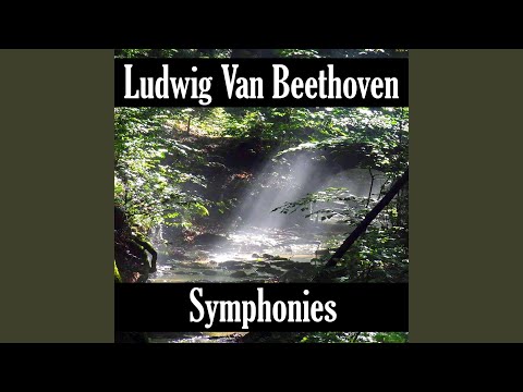Symphony No. 5 in C Minor, Op. 67: I. Allegro con brio