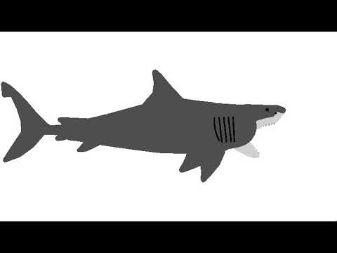 Great White Shark Roaring Sound Effect
