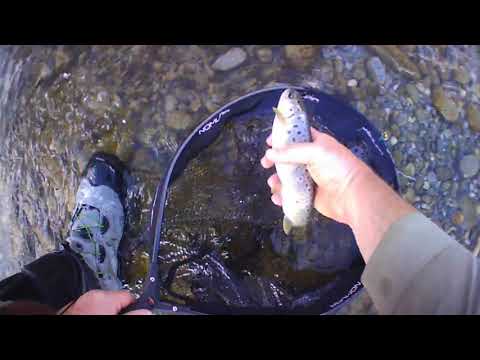Fly Fishing Austria parte 1 - Isel