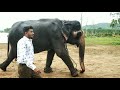 Gandadagudi Navaduvanudiyekannadanudi Rajkumar Darshan