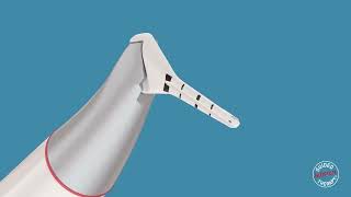 PERIOFLOW® allows effective removal of biofilm down to the deepest periodontal pockets