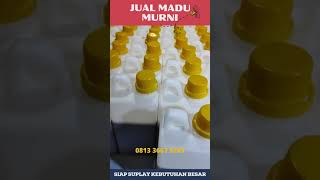 Download lagu Distributor Madu Nusantara Surabaya mp3 Download lagu Distributor Madu Nusantara Surabaya mp3