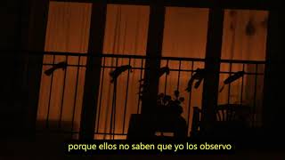 Ventanas - videopoema