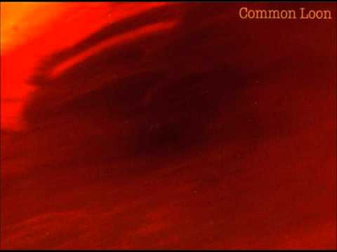 Common Loon - Mexico