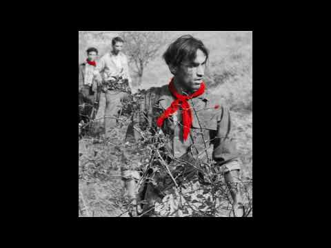 Fausto Amodei - Il fazzoletto rosso