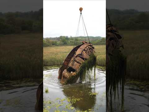 Strange objects were found in a remote swamp in America.