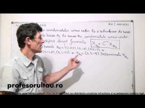 27   Modificarea coordonatelor unui vector la o schimbare de baze   partea 2 - profesorultau.ro