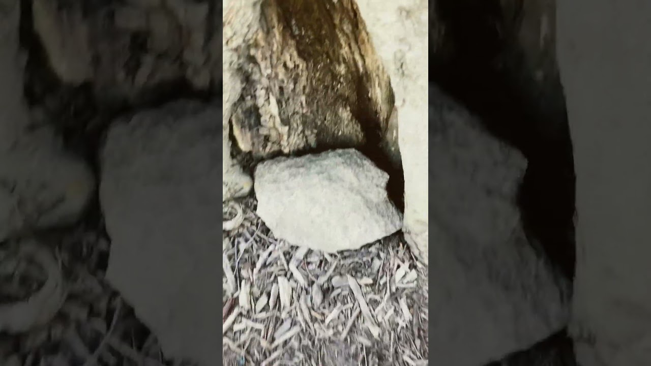 First geocache in Michigan￼