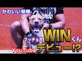 【北村式】サンダルを使ったホームトレーニングチャレンジ!!