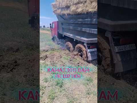Ставь лайк 👍 #automobile #farming #music #offroad #shortvideo #agriculture #shorts #farmlife