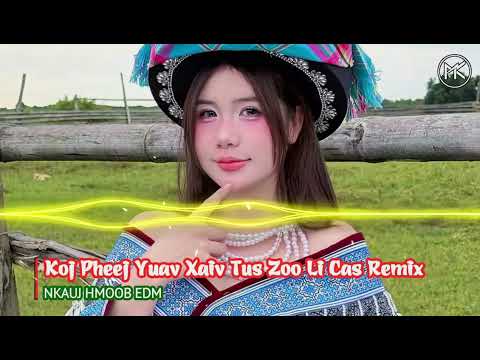 Koj Pheej Yuav Xaiv Tus Zoo Li Cas Remix | Style Huy PT Remix | #top 3 Nkauj Hmoob Remix Zoo Heev