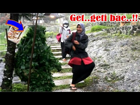 histeria-kagetnya-bikin-gemes-bushman-prank-funny-prank