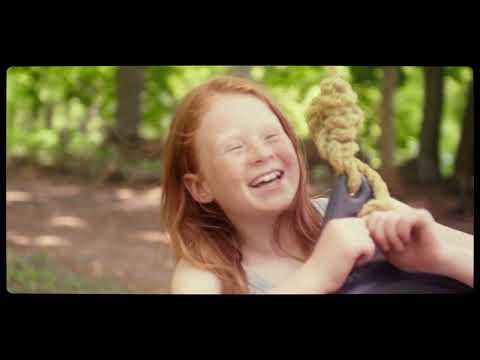 Misplaced - Niamh Collins