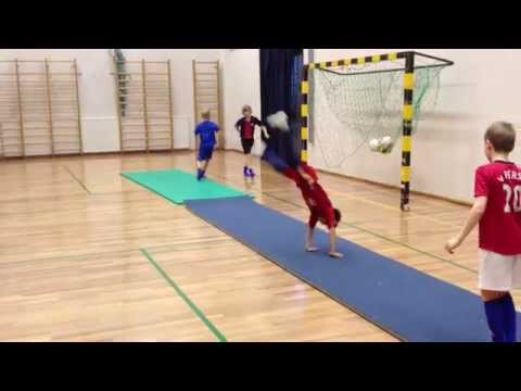 KoiPs Perhosvoltin akrobatiatunnilla 2