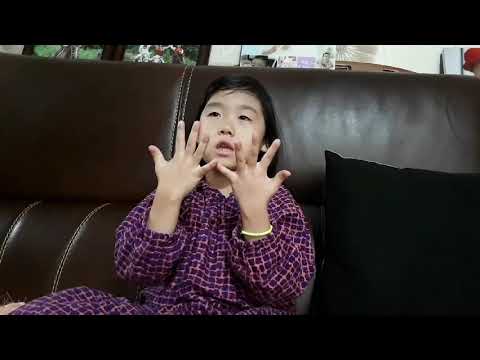 [DS아이브레인] iBRAIN 유치부 수놀이 동수챈트 멀티콘텐츠/수학적 사고력/DS-DC-0246