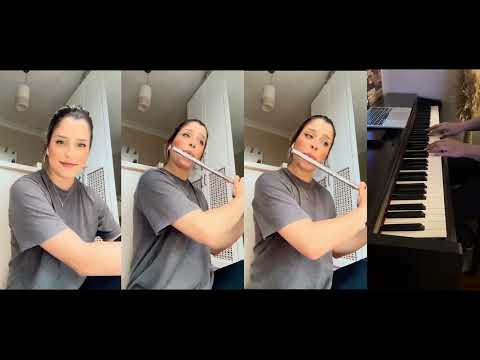 Sırlarımı Söyledim | Selin Yağınlı Cover