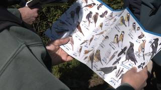 VOTV - Les Franqueses presenta una nova guia per descobrir els ocells del municipi