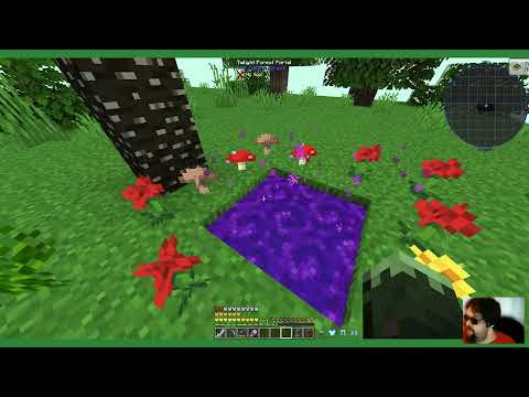 fel Plays Ragnamod VI!! Minecraft Modded Ep54. Entering the Twilight Forest!!