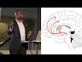 Addiction and the Brain - AMNH SciCafe