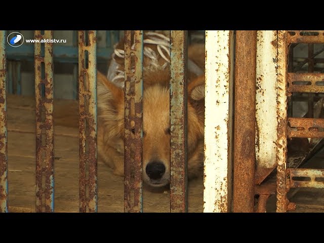 Выпуск программы «Новый день» за 4 октября