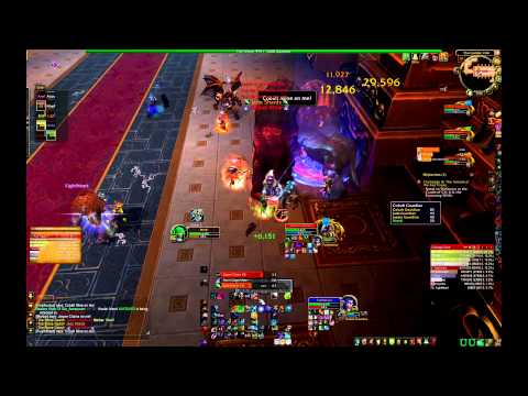 MSV (10) Stone guard