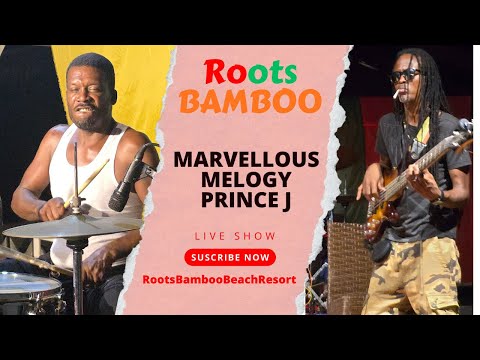 Melogy, Marvellous & Prince J Live 🔥 Hurricane Band | Roots Bamboo