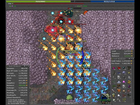 Tibia hunt  RP 796 Two-Headed Turtle, Great Pearl Fan Reef, 4 kk-hr exp top, 1.1 kk-hr profit