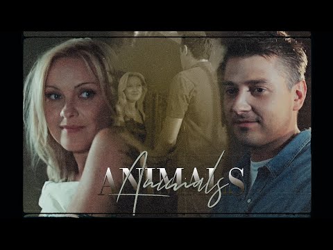 Елена и Вадим (&Паша) AU - Animals | Закрытая школа