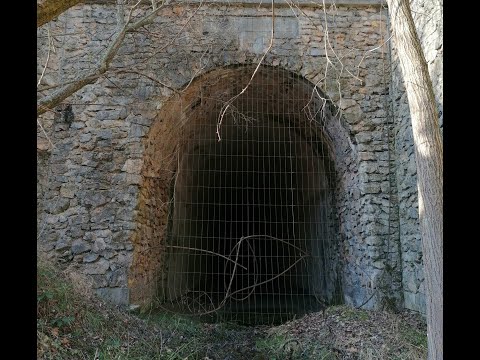 Alter Stollen bei Preinsfeld