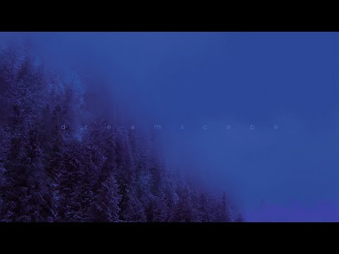 leadwave - unfortunately