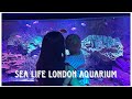 Primeira Viagem Da Safira Para Londres Part 1