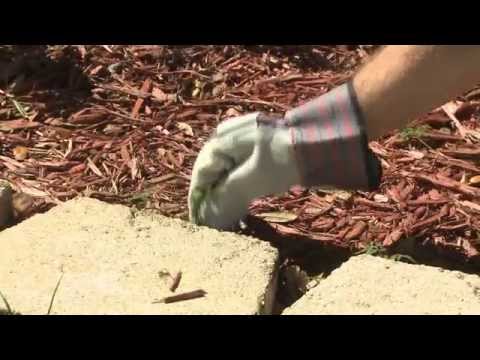 Ace Hardware Mulch