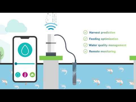 AquaEasy PRO - Shrimp Farming video thumbnail