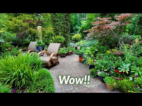 Incredible Garden at Dawn