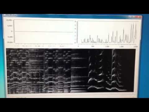 Realtime Python Spectrograph Test