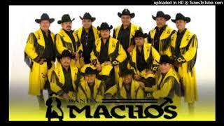 AMT Banda Machos Cumbias Mix gameplay video by emilyh, 28:05 duration
