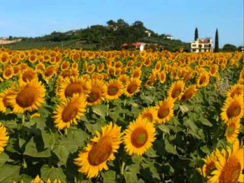 Il Ciclone - Toscana