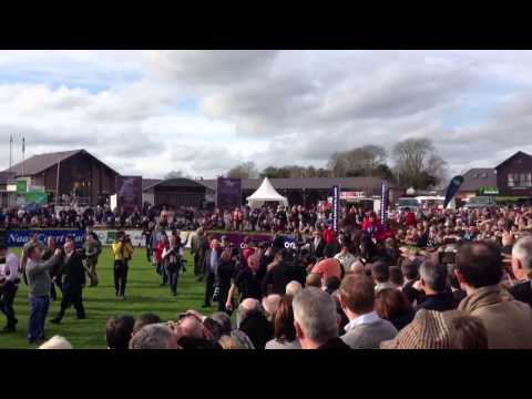 Sprinter Sacre at Punchestown