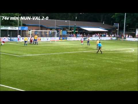 NUNSPEET-VALLEIVOGELS  17 augustus 2013