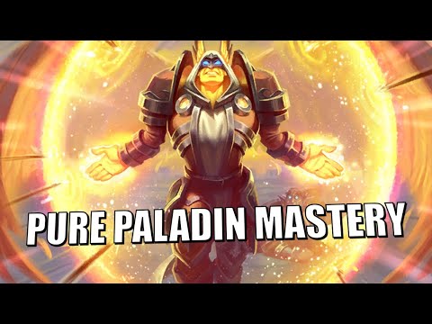 Blizzard Made Pure Paladin Bad Because They Were Afraid of This Guy