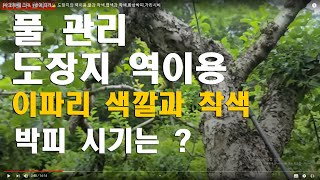 [사과재배] 그대, 1번이 되라