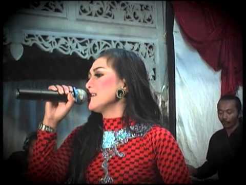 Download Dangdut Sendiri Dulu Mp3 dan Mp4 Terbaru Gratis