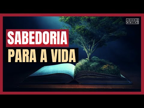 Proverbs 1 Study: WISDOM FOR LIFE (Bible Explained)