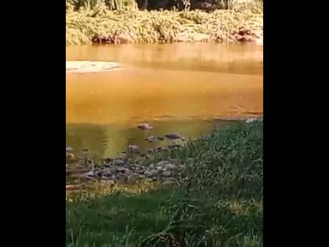 Río Panaholma, Cura Brochero, Traslasierras, Córdoba 🇦🇷.#curabrochero