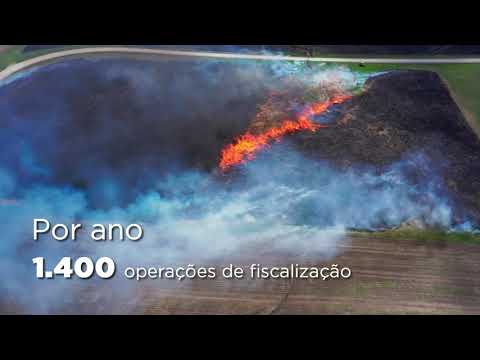 Pílulas 🗂️ Preservar é Lei | Lei do Ibama