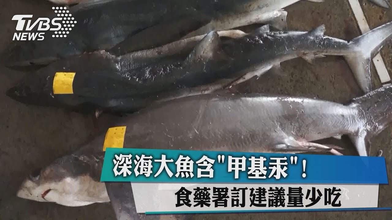 深海大魚含「甲基汞」! 食藥署訂建議量少吃