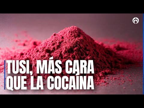 Cártel de Sinaloa es el único identificado como productor de Tusi, revela especialista