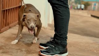 Hallelujah by MKO JAY SHADY  ft KINGZKID (Dir  by Some Song Studios)